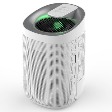 Sheffield 2 in 1 Dehumidifier, Air Purifier