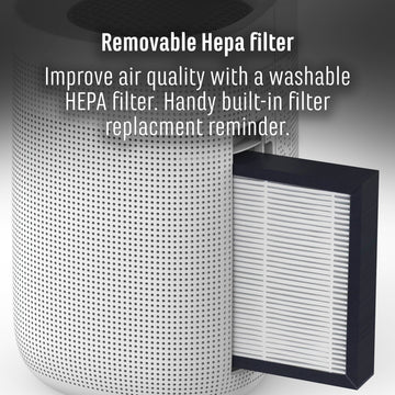 Sheffield 2 in 1 Dehumidifier, Air Purifier