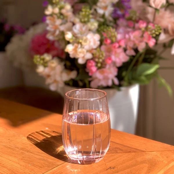 Pasabahce Glass Linka - Tumbler