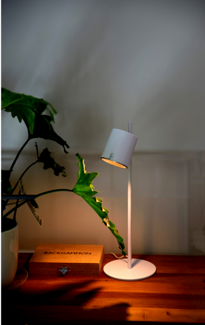 Arlo LED table lamp