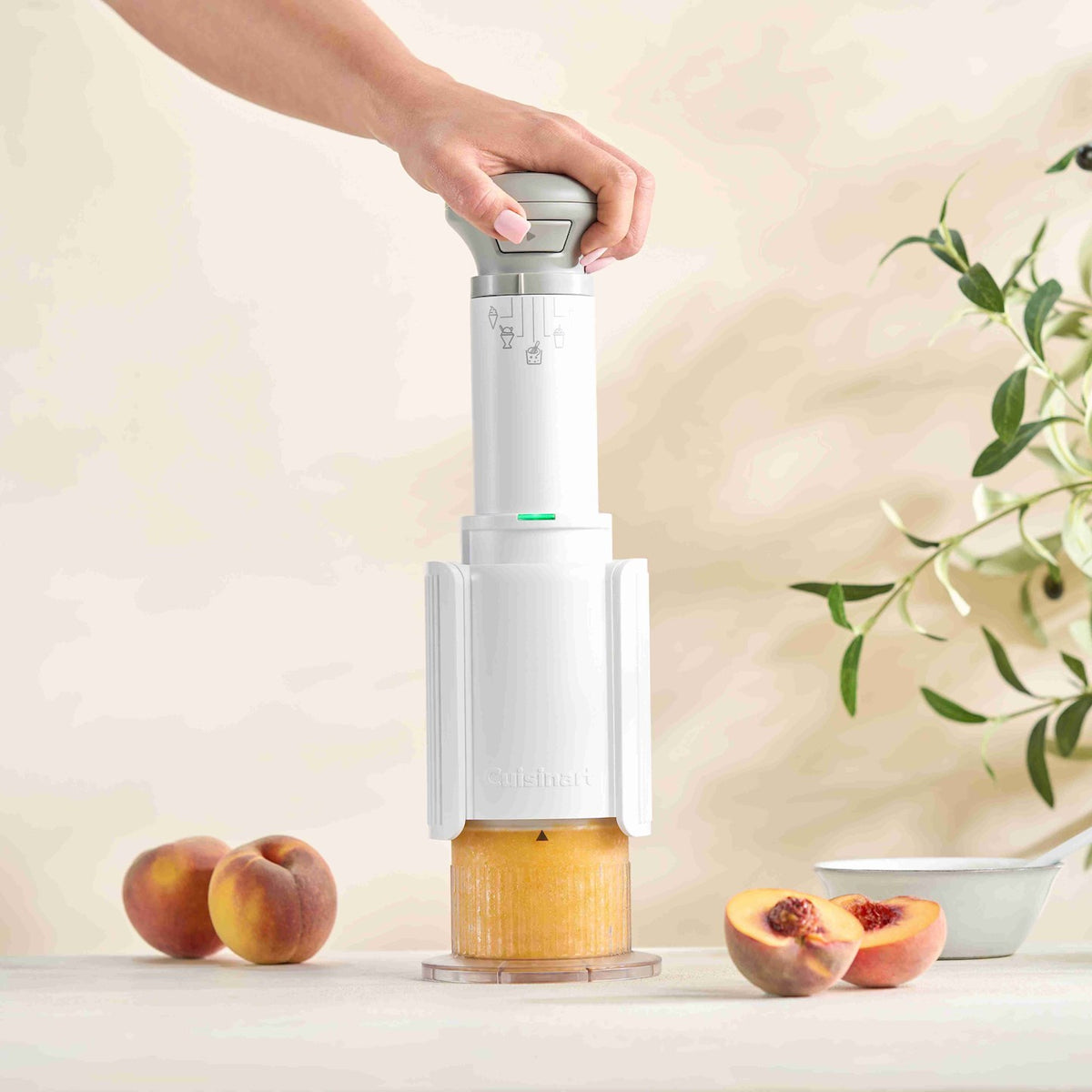 Cuisinart Freeze Wand