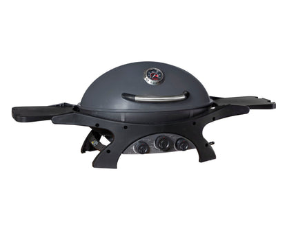 Ziegler & Brown Triple Grill BBQ