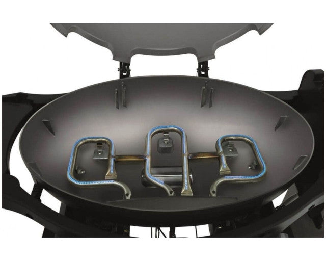 Ziegler & Brown Triple Grill BBQ